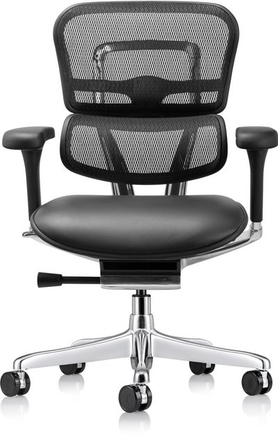 Ergohuman Leather seat & mesh back/Gen2