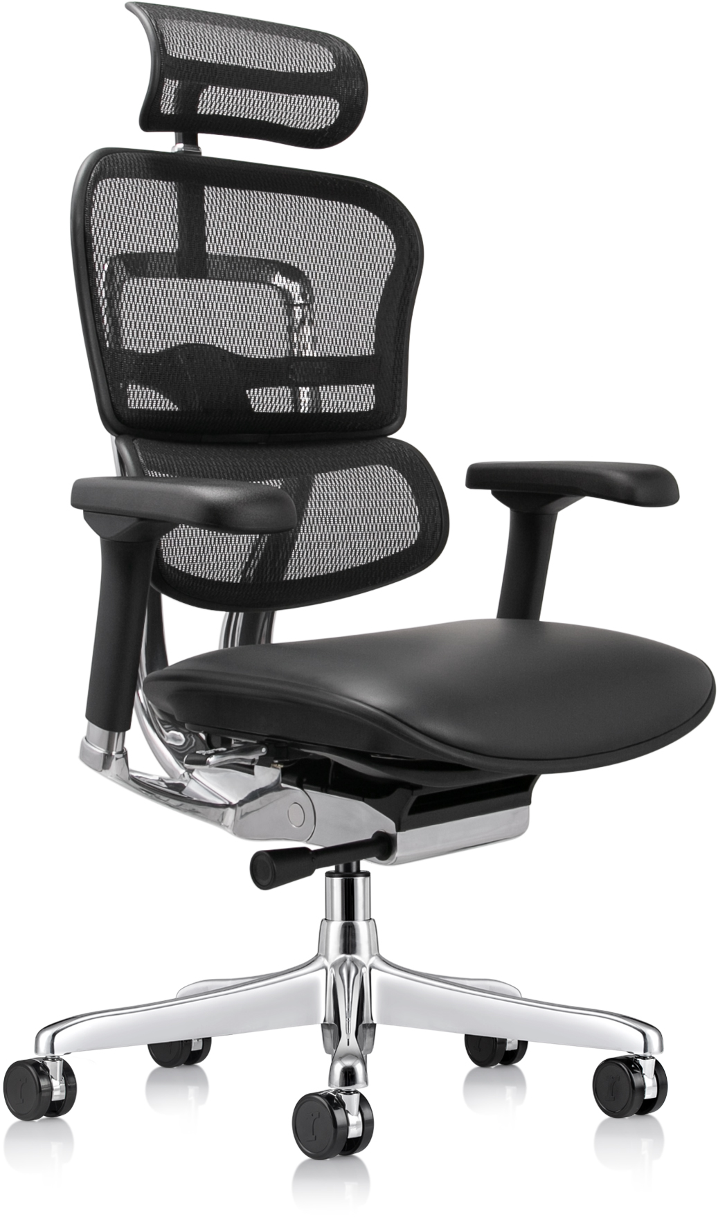 Eurotech Ergohuman High Leather Seat & Mesh Back Gen 2