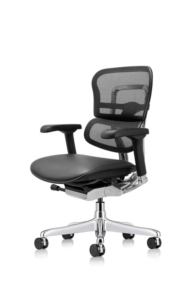 Ergohuman Leather seat & mesh back/Gen2